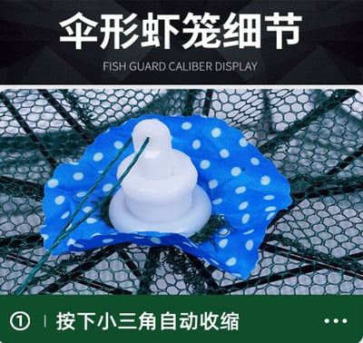 ~子甄彣璟~傘籠 傘式 蝦籠 地籠 捕魚籠 魚網 魚籠 龍蝦網 抓魚 抓蝦 捕魚 螃蟹籠 黃鱔籠 泥鰍籠5