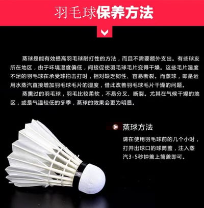 ~子甄彣璟~Swallow 羽毛球 12只裝 飛行穩定 娛樂訓練球 訓練用球 耐打不易爛 鴨毛球 軟木球 練習 羽球3