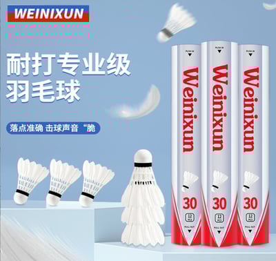 ~子甄彣璟~羽毛球 12只裝 飛行穩定 娛樂訓練球 訓練用球 耐打不易爛 鴨毛球 軟木球 練習 羽球11