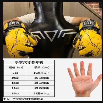 ~子甄彣璟~熱銷中 TR 拳擊手套 拳套 拳擊 手套 搏擊 散打 泰拳 格鬥 散打 健身 運動 武術 訓練5