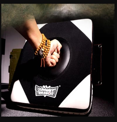 ~子甄彣璟~SUMMITDRAGON 詠春拳靶 寸拳 寸勁 武術練習靶 泰拳 拳擊 牆靶 散打 沙包 牆掛沙袋 3件套1