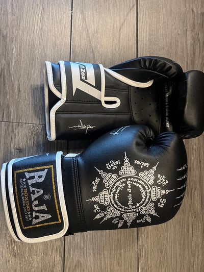 ~子甄彣璟~泰國品牌RAJA 超纖拳擊手套 拳套 比賽訓練 散打 自由搏擊 泰拳 搏鬥 拳擊防具12