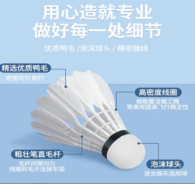 ~子甄彣璟~羽毛球 12只裝 飛行穩定 娛樂訓練球 訓練用球 耐打不易爛 鴨毛球 軟木球 練習 羽球2