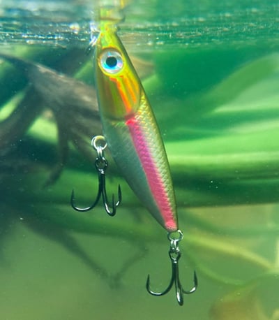 ~子甄彣璟~金頭粉線 微物之字狗 浮水小鉛筆 仿生餌 路亞餌 假餌 誘餌 擬餌 假魚 小魚 釣魚2