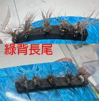 ~子甄彣璟~格裡菲斯 昆蟲 仿真餌 一盒5只卡裝飛蠅鉤 飛釣 擬餌 仿生餌 飛蠅鉤 仿生 飛蠅 蒼蠅 路亞假餌 毛鉤 路亞餌6