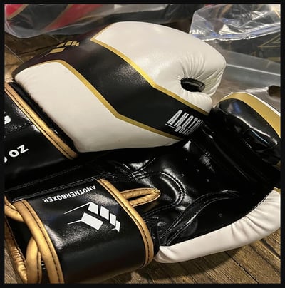 ~子甄彣璟~熱銷中 XE 拳擊手套 拳套 拳擊 手套 搏擊 散打 泰拳 格鬥 散打 健身 運動 武術 訓練5