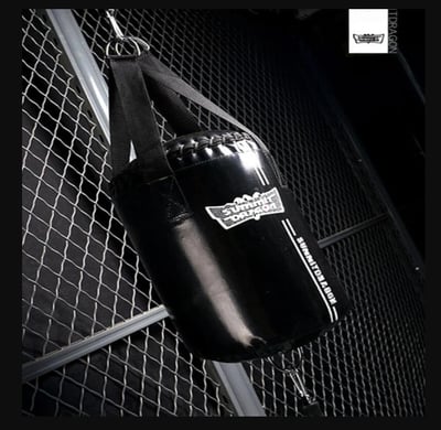 ~子甄彣璟~SUMMITDRAGO 迷你拳擊沙袋 圓柱 沙包 速度球 拳擊 實心拳擊球 發洩球 反應球 拳擊球 反彈球 閃避6