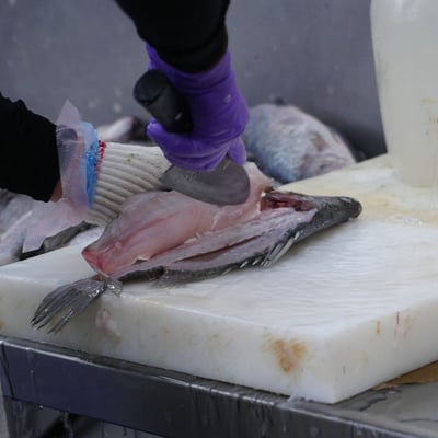 ~子甄彣璟~金目鱸魚 滿1500元 免運 帶皮鱸魚片 100-400g 去刺 鱸魚片 鱸魚 清肉 鱸魚排 高蛋白 脂肪低2