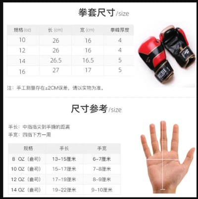 ~子甄彣璟~熱銷中 XE 拳擊手套 拳套 拳擊 手套 搏擊 散打 泰拳 格鬥 散打 健身 運動 武術 訓練2