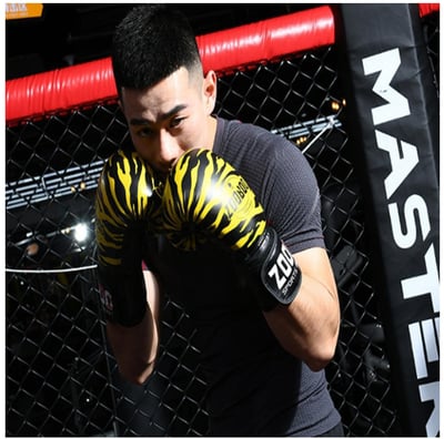 ~子甄彣璟~虎纹10盎司拳擊手套 一次成型拳套 拳擊手套 搏擊手套 散打 泰拳 格鬥 散打 搏擊 武術 比賽沙袋拳套9