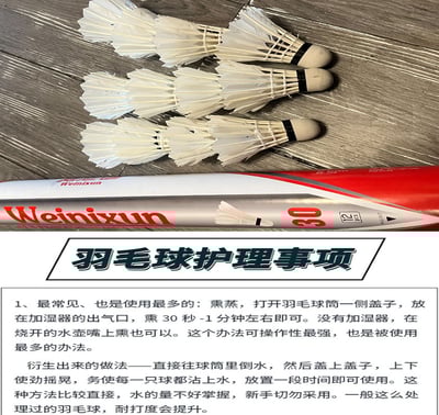 ~子甄彣璟~羽毛球 12只裝 飛行穩定 娛樂訓練球 訓練用球 耐打不易爛 鴨毛球 軟木球 練習 羽球9