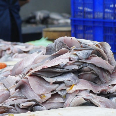 ~子甄彣璟~金目鱸魚 滿1500元 免運 帶皮鱸魚片 100-400g 去刺 鱸魚片 鱸魚 清肉 鱸魚排 高蛋白 脂肪低6