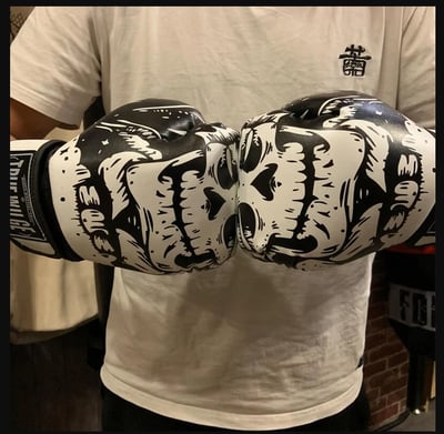 ~子甄彣璟~熱銷中 TR 拳擊手套 拳套 拳擊 手套 搏擊 散打 泰拳 格鬥 散打 健身 運動 武術 訓練2