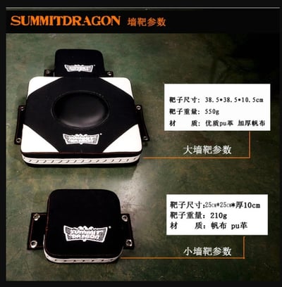 ~子甄彣璟~SUMMITDRAGON 詠春拳靶 寸拳 寸勁 武術練習靶 泰拳 拳擊 牆靶 散打 沙包 牆掛沙袋 3件套7