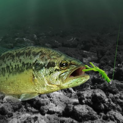 ~子甄彣璟~浮水蝦15條 腥臭 黑坑利器 路亞軟餌 仿生軟餌 假餌 針尾蟲 軟蟲 軟餌 誘餌6