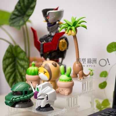 桌上伸展台 DTR5