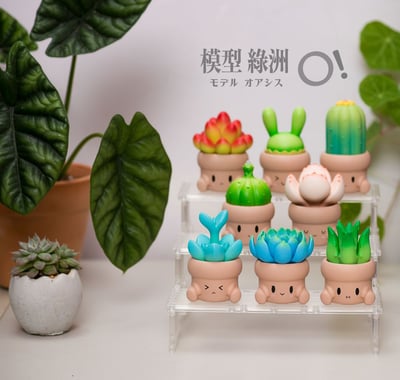 桌上伸展台 DTR7