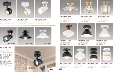 小吸頂燈系列 101-4491