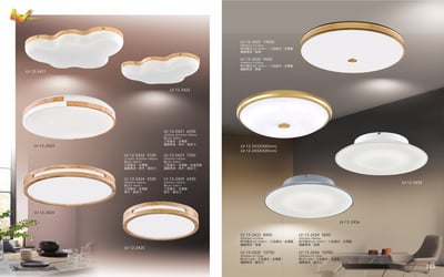 LED吸頂燈系列 LV2421