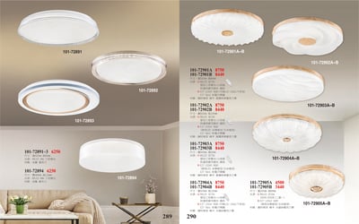 LED吸頂燈 / LED小吸頂燈系列 101-2891