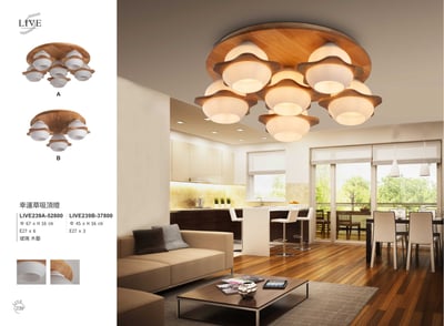 吸頂燈系列 LIVE2391