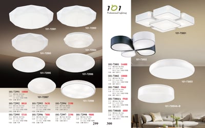 吸頂燈 / 小吸頂燈系列 101-2991