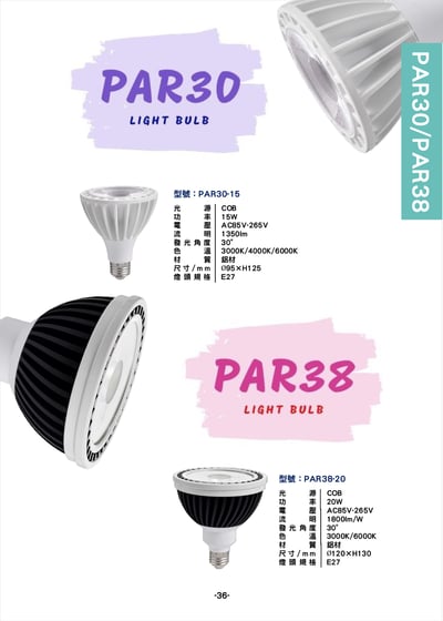 PAR30 / 38 燈泡系列  P361