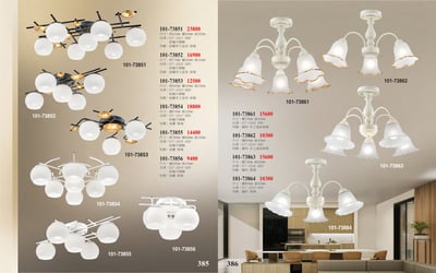 半吸頂燈系列 101-3851