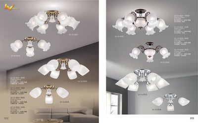 半吸頂燈系列 LV2021