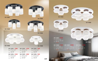 半吸頂燈系列 101-4291