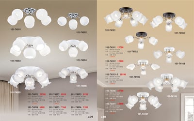 半吸頂燈系列 101-4091