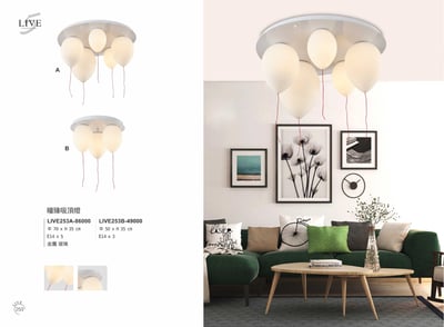 兒童吸頂燈系列 LIVE2531