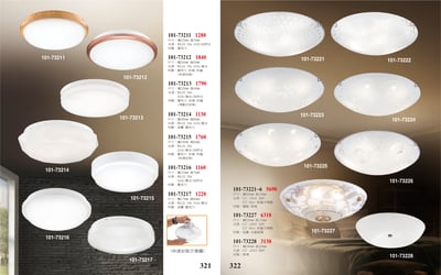 LED吸頂燈 / 吸頂燈系列 101-3211