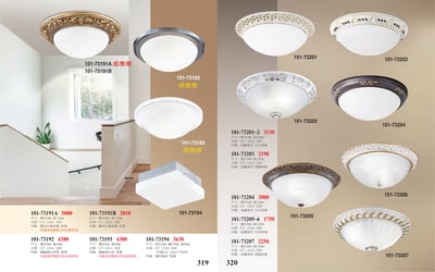 小吸頂燈系列 101-3191