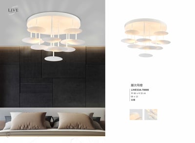 吸頂燈系列 LIVE 531