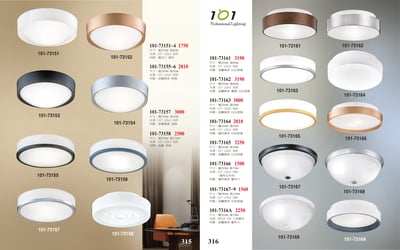 小吸頂燈系列 101-3151
