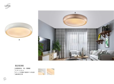 吸頂燈系列 LIVE2011