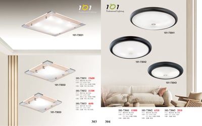 吸頂燈 / 小吸頂燈系列 101-3031