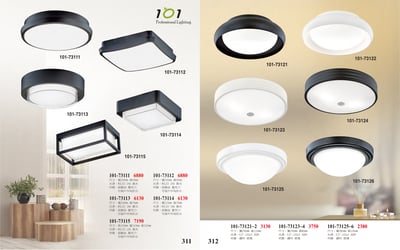 LED小吸頂燈 / 小吸頂燈系列 101-3111