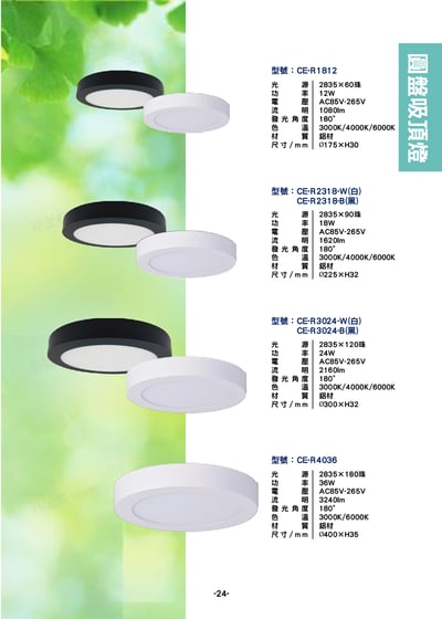 圓盤吸頂燈系列  P241