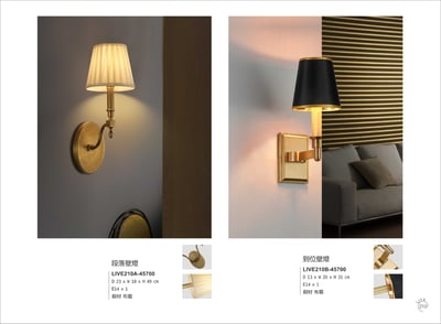 吊燈系列 LIVE2101