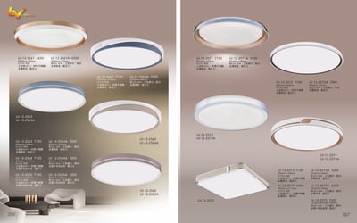 吸頂燈 / LED吸頂燈系列 LV2561