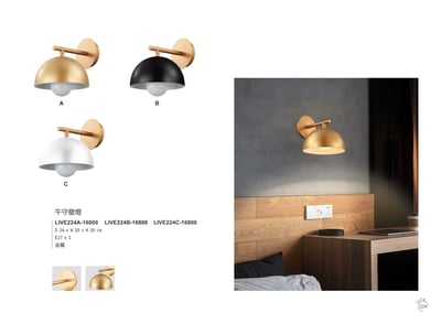 吊燈系列 LIVE2241