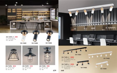 小吸頂燈系列 101-4391