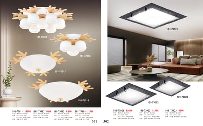 半吸頂燈 / 吸頂燈 / 小吸頂燈系列 101-3011