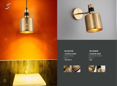 吊燈 / 壁燈系列 LIVE2231