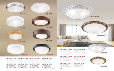 小吸頂燈 / 吸頂燈系列 101-3171