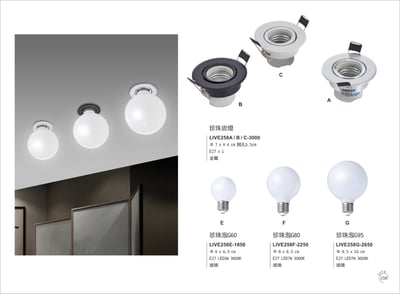 崁燈系列 LIVE2581
