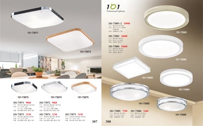吸頂燈 / 小吸頂燈  / LED吸頂燈 系列 101-3071