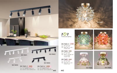 小吸頂燈系列 101-4411